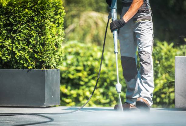 Best Sidewalk and Walkway Cleaning  in Mexia, TX