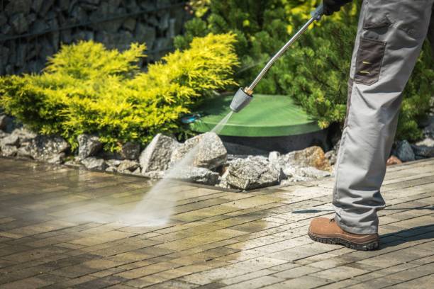 Best Pool Deck Cleaning  in Mexia, TX