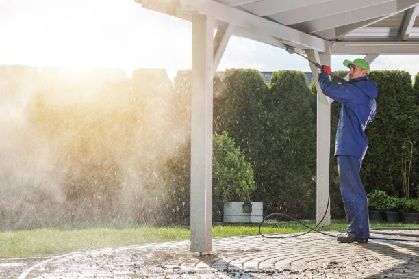 Best Gutter Cleaning  in Mexia, TX