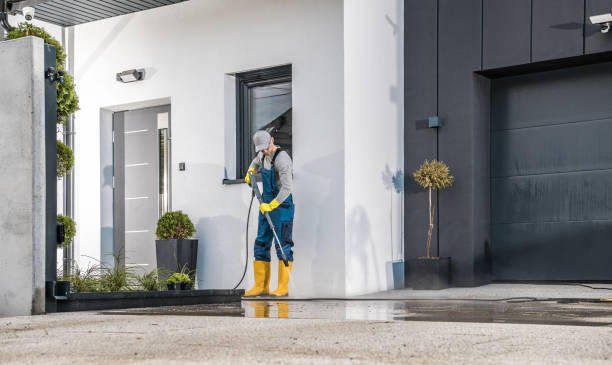 Best Driveway Pressure Washing  in Mexia, TX